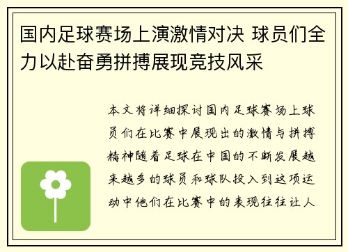 国内足球赛场上演激情对决 球员们全力以赴奋勇拼搏展现竞技风采